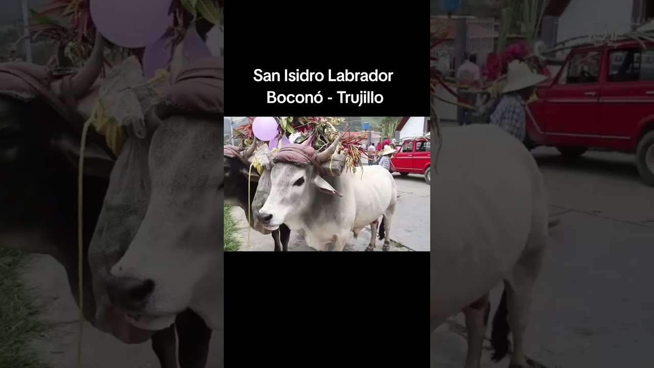 21 de mayo de 2024