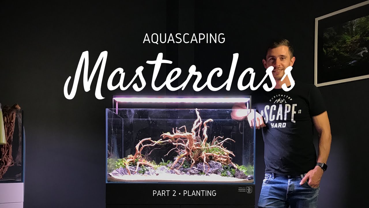 Aquascaping Masterclass | Step by Step Aquascape Tutorial - Part 2