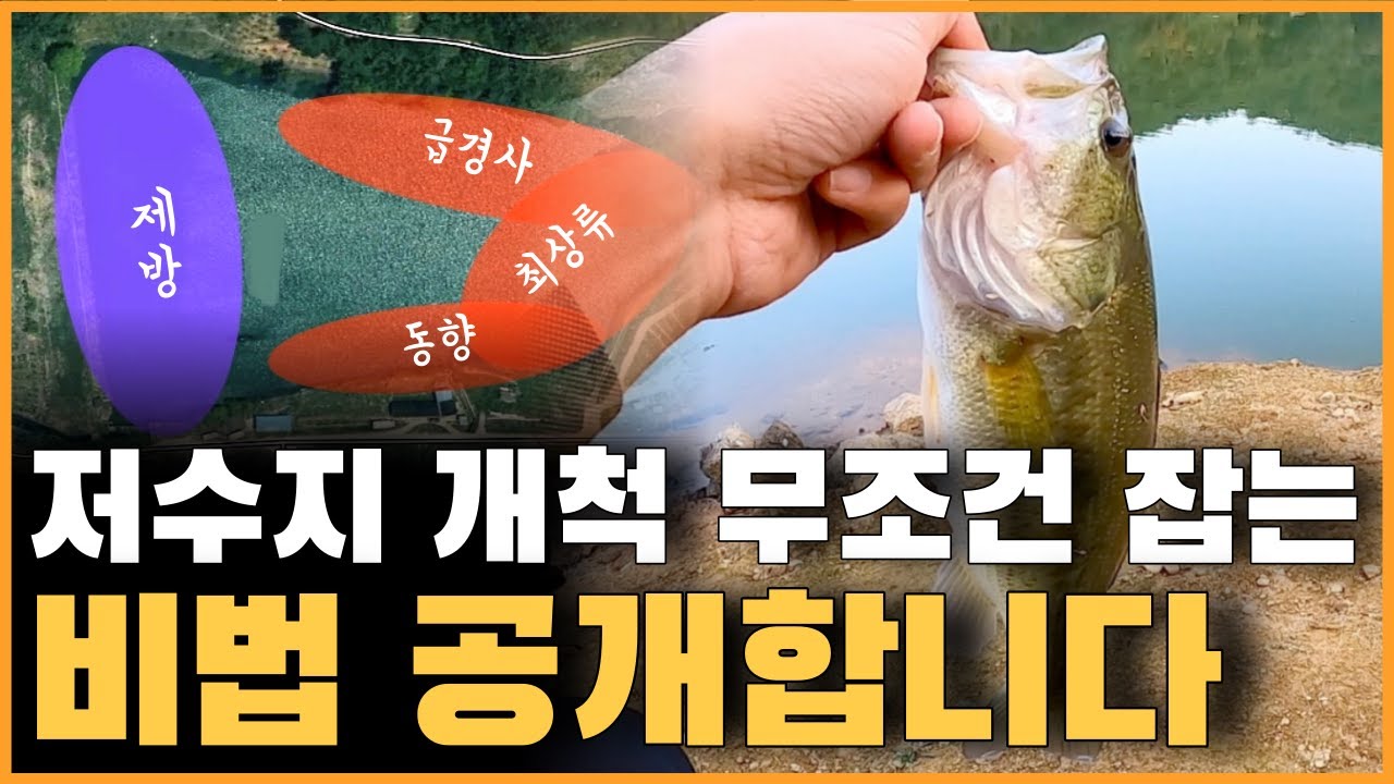 저수지 배스 찾는 방법, 직접 보여 드리면서 알려드릴게요 (배스낚시) ㅣEP.112