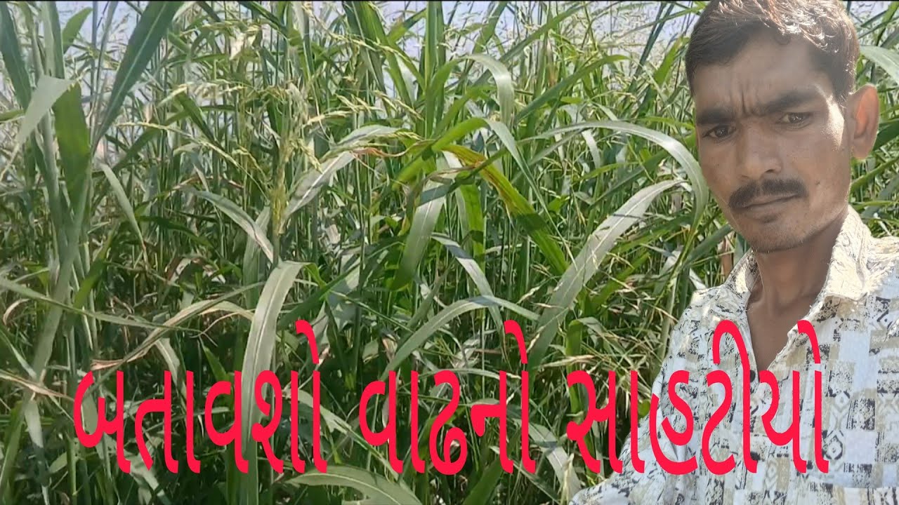 How to  vlogs બતાવશો વાઢ નો ખડ