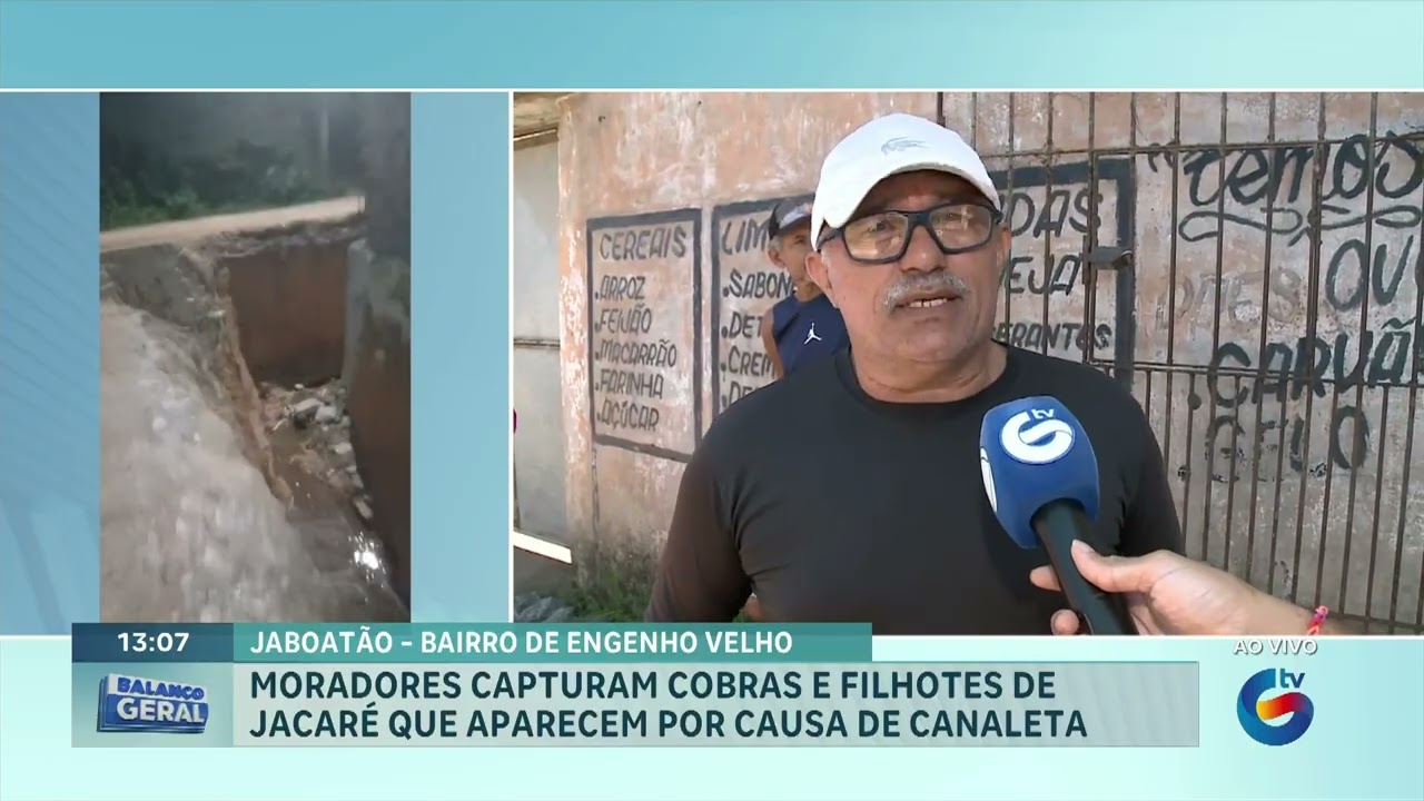 Moradores capturam cobras e filhotes de jacaré que aparecem por causa de canaleta.