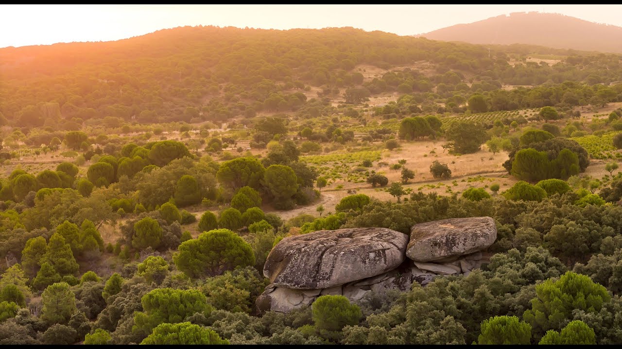 Bodega Mara&ntilde;ones a vista de &aacute;guila (2025)