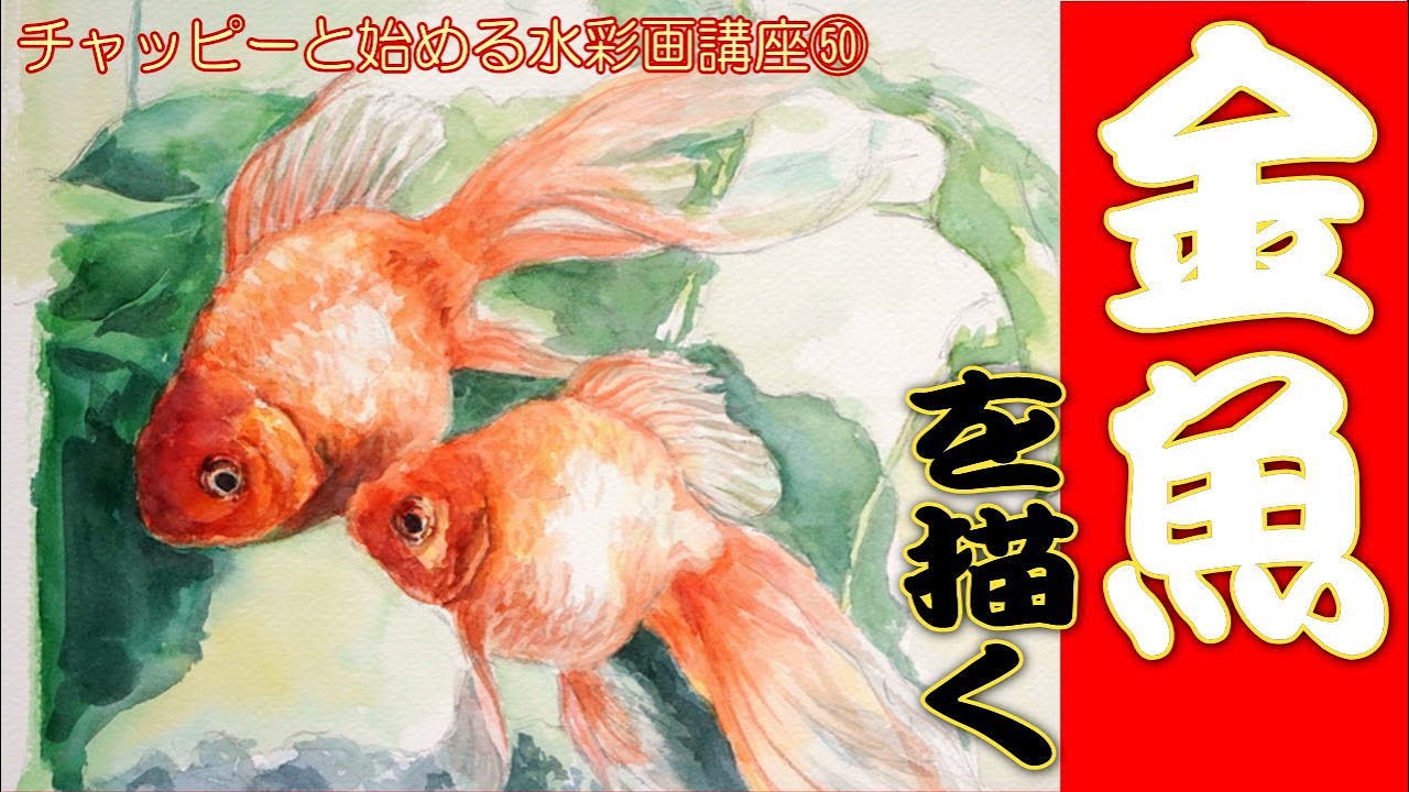 初心者のための水彩画㊿夏の風物詩『金魚を描く』watercolortutorial watercolor painting lessons