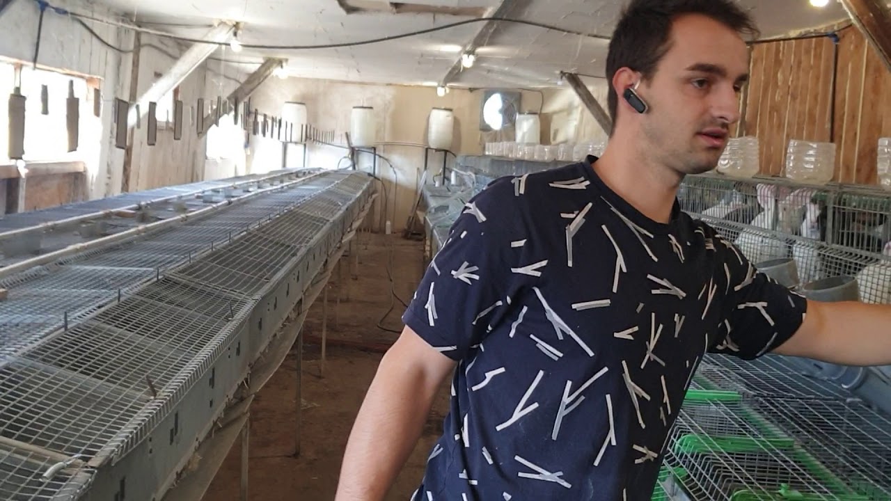 SUPER FERMA DE IEPURI A LUI RARES TEPEAN SIBIU