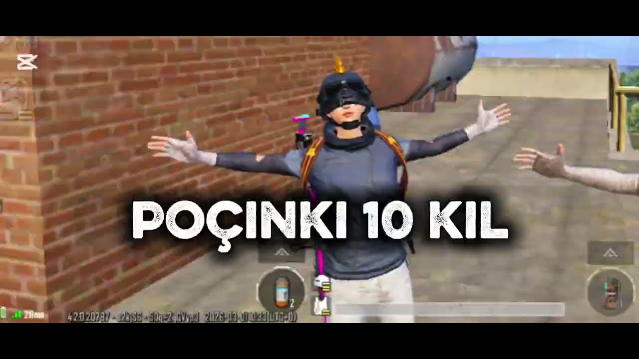 Poçinki 10 kil hardvidyo