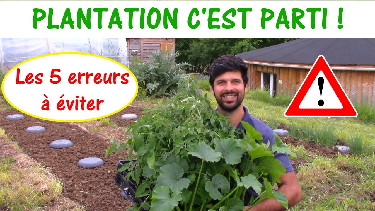 PLANTATION - LES 5 ERREURS À ÉVITER