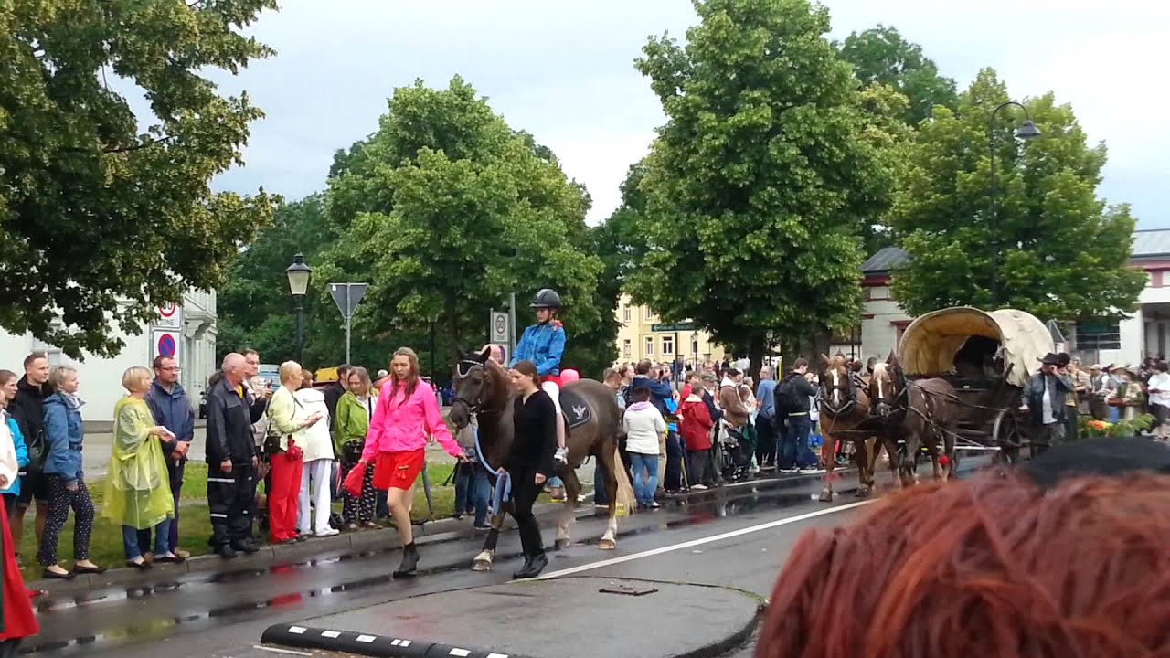 Naumburger Kirschfest Umzug 2015