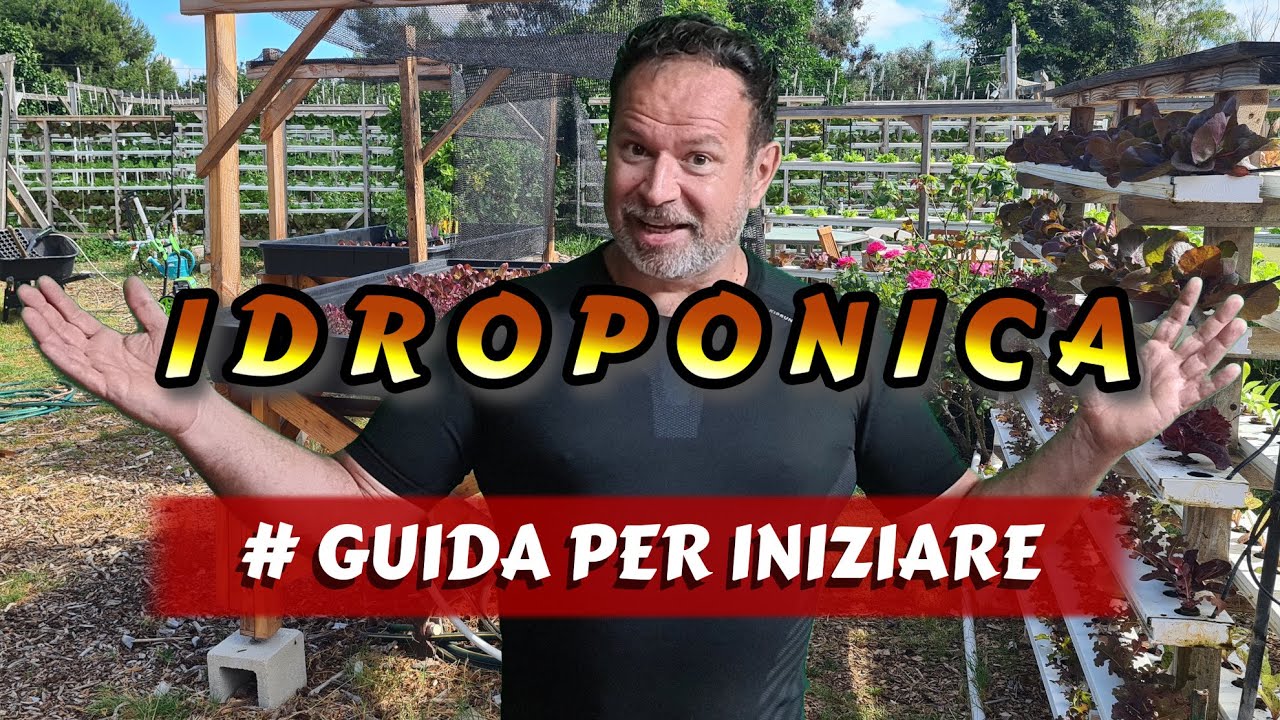 Idroponica - la guida per iniziare