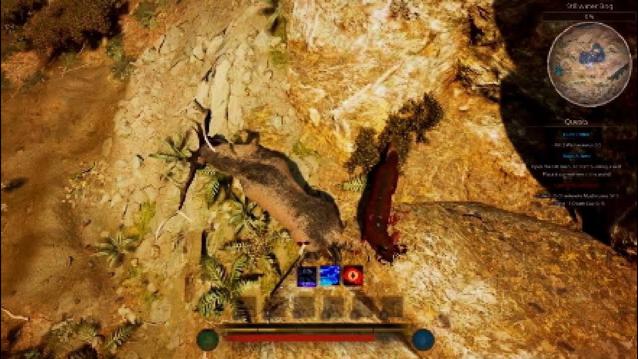 No Wolf Pack Bruh 🤣