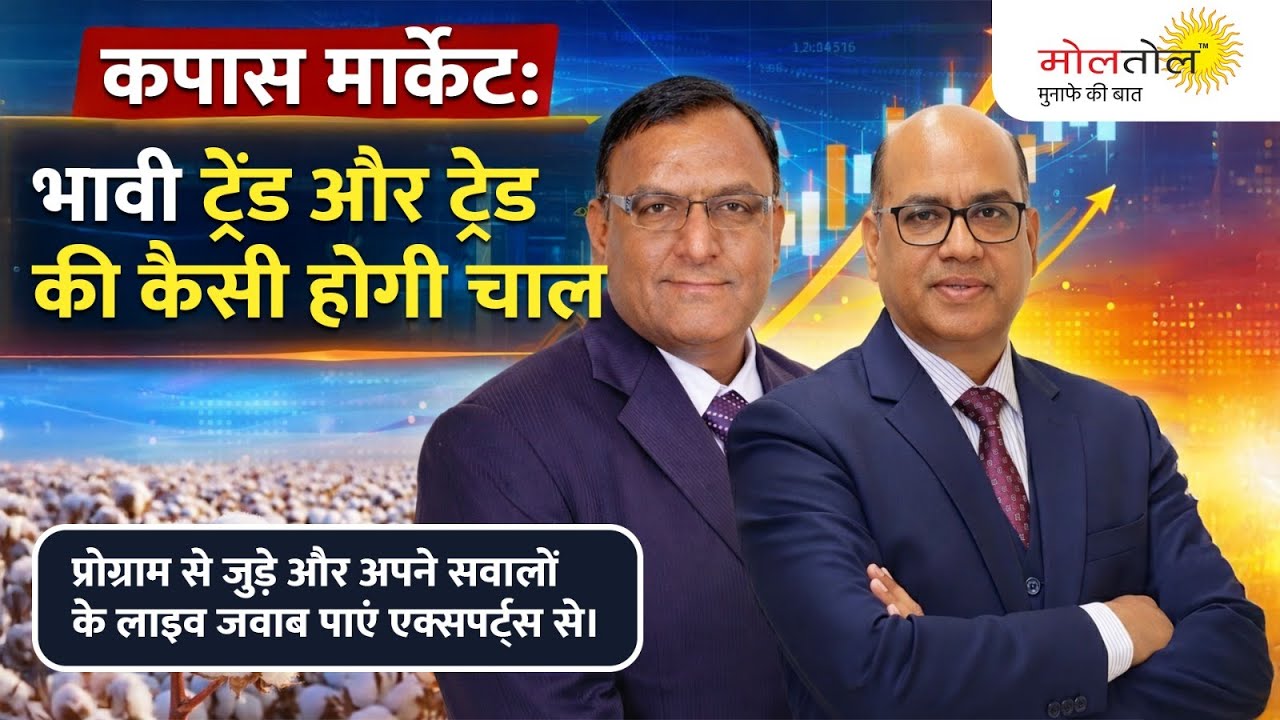 कपास मार्केट: भावी ट्रेंड और ट्रेड की कैसी होगी चाल