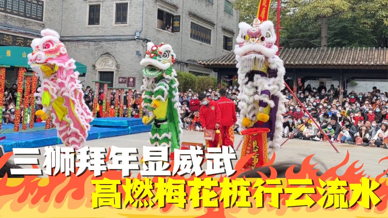【醒狮表演2023 】佛山黄飞鸿舞狮表演太精彩！三狮拜年显威武，高燃梅花桩行云流水