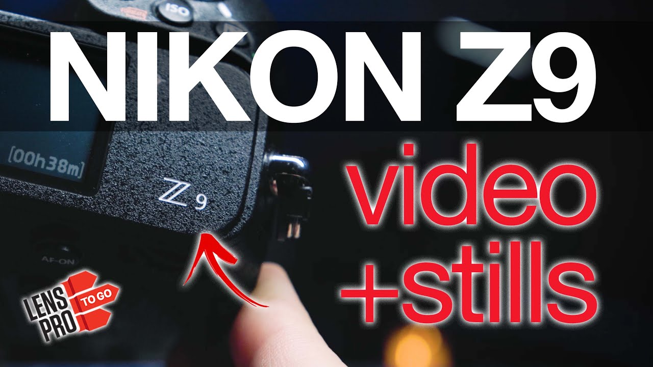 Nikon Z9: SAMPLE FOOTAGE & STILLS