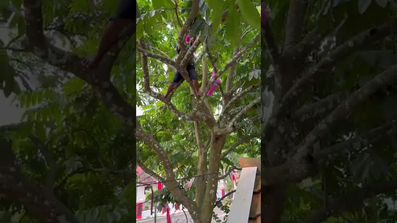 Amankan Matoa dari Combre