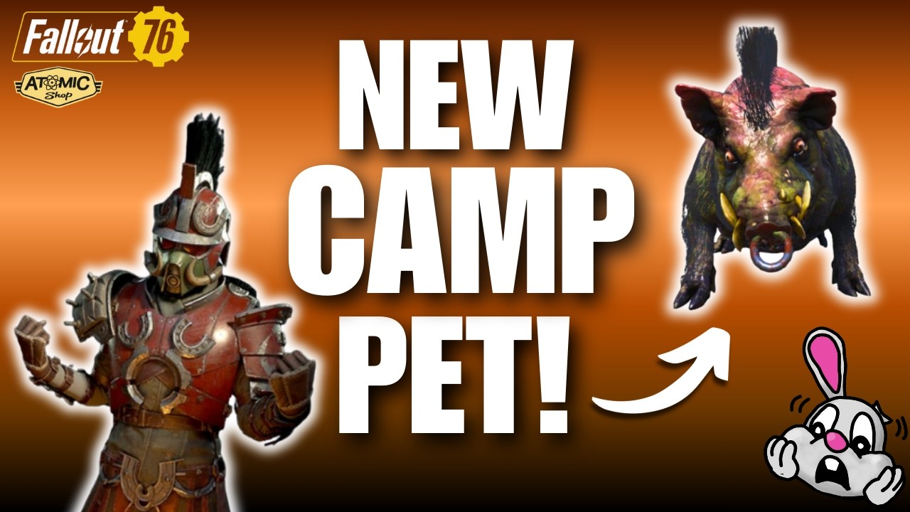HONEST atom shop update review of the razorback bundle & radhog CAMP pet | Fallout 76