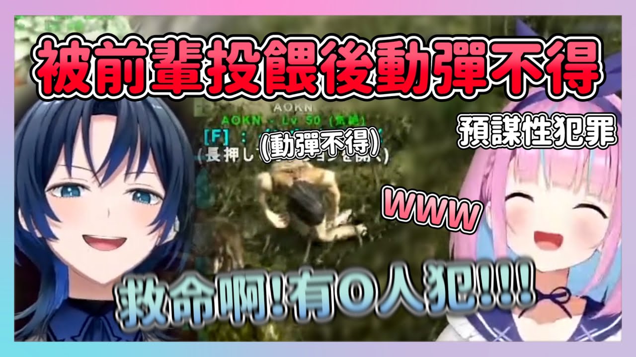 青君吃了前輩給的禮物卻動彈不得 結局竟然還被當成救命恩人w 借用ちょこ老師的知識搗蛋的あくあ【hololive/湊あくあ/火威青】