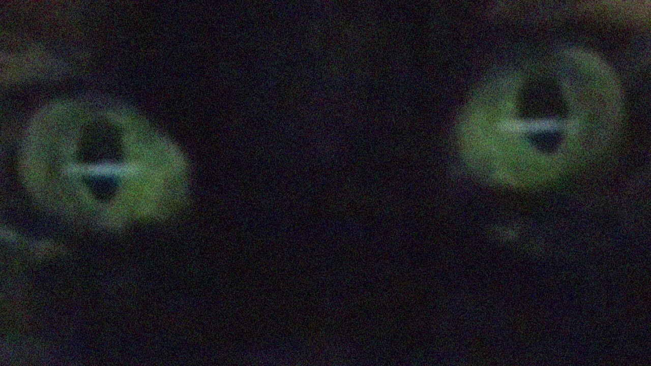 therewasnothingabovenorbelowus