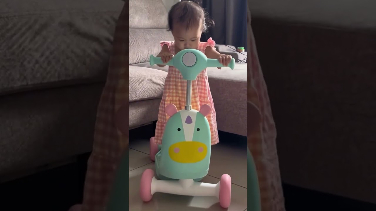 Skip Hop Ride On 3-in-1 Scooter