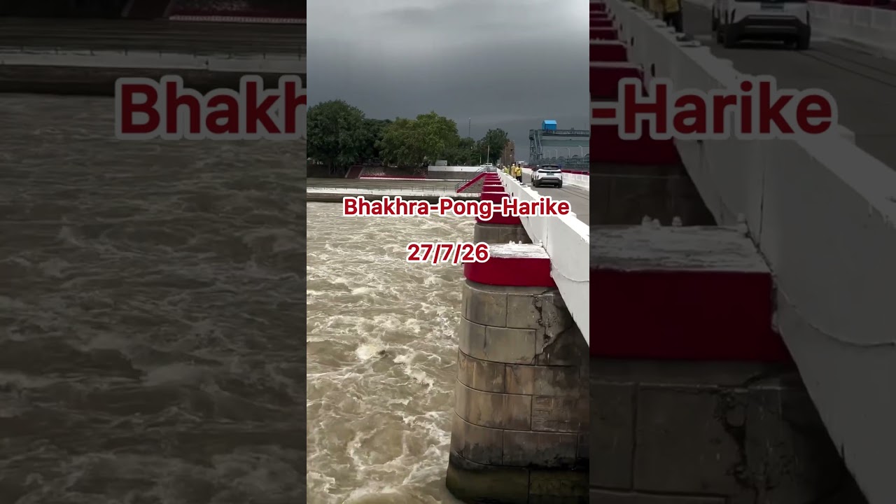 Today Bhakhra-Pong Dam - -Harike Water level 27/07/26 #sukhlattia #waterlevel #dam  #today #update