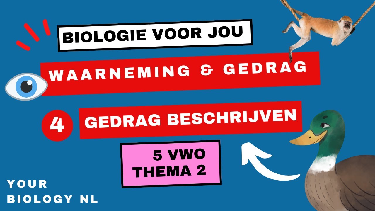 5 vwo | Waarneming & Gedrag | 4 | Gedrag beschrijven