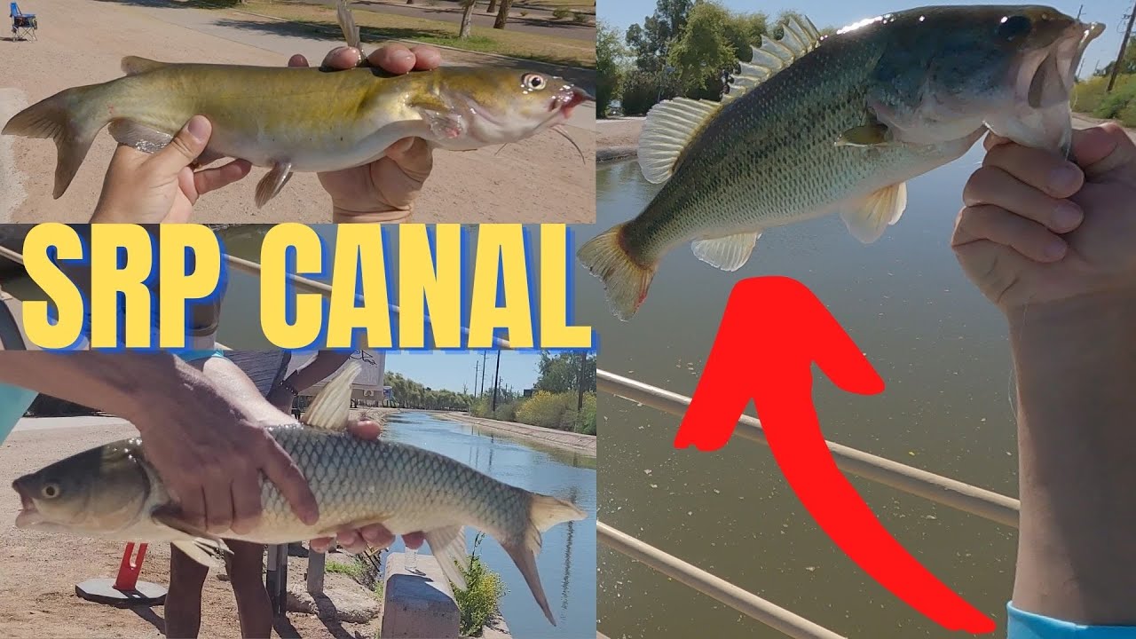 Fishing with Subscribers - Arizona SRP Canal