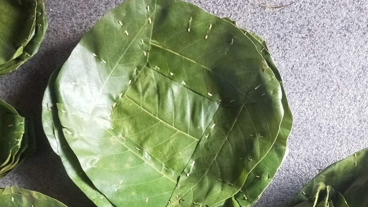 4 पाते टपरी गास्ने तरिका ! Tapari gasne traditional tarika .
