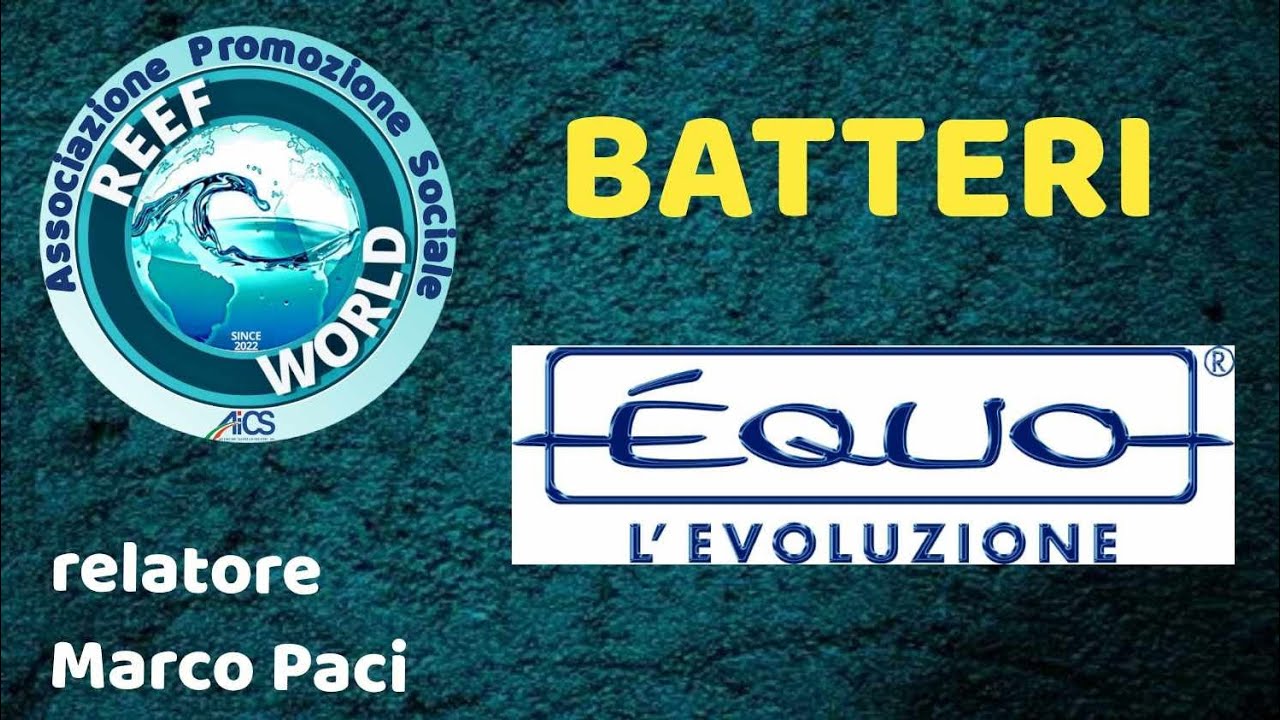 Batteri Équo di Marco Paci by Reef World