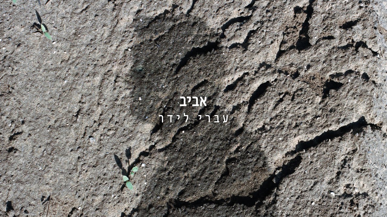 עברי  לידר - אביב