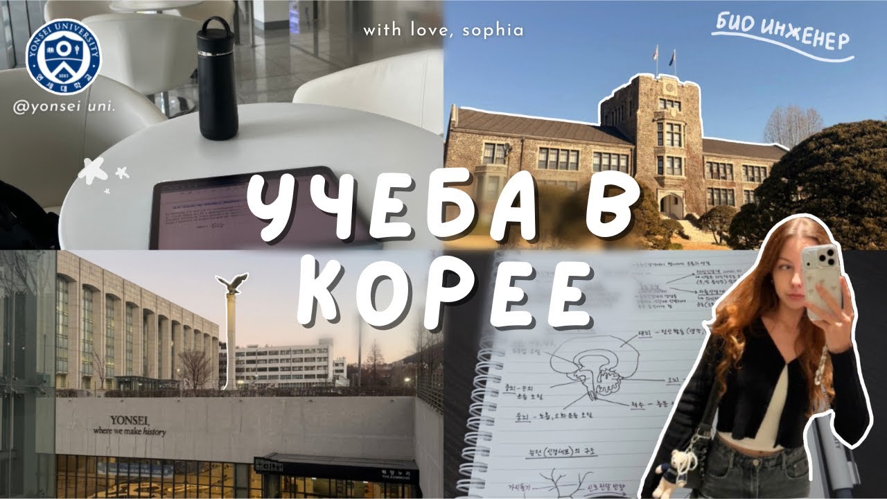 неделя студента в корейском университете | Yonsei University | 1 курс 2 семестр