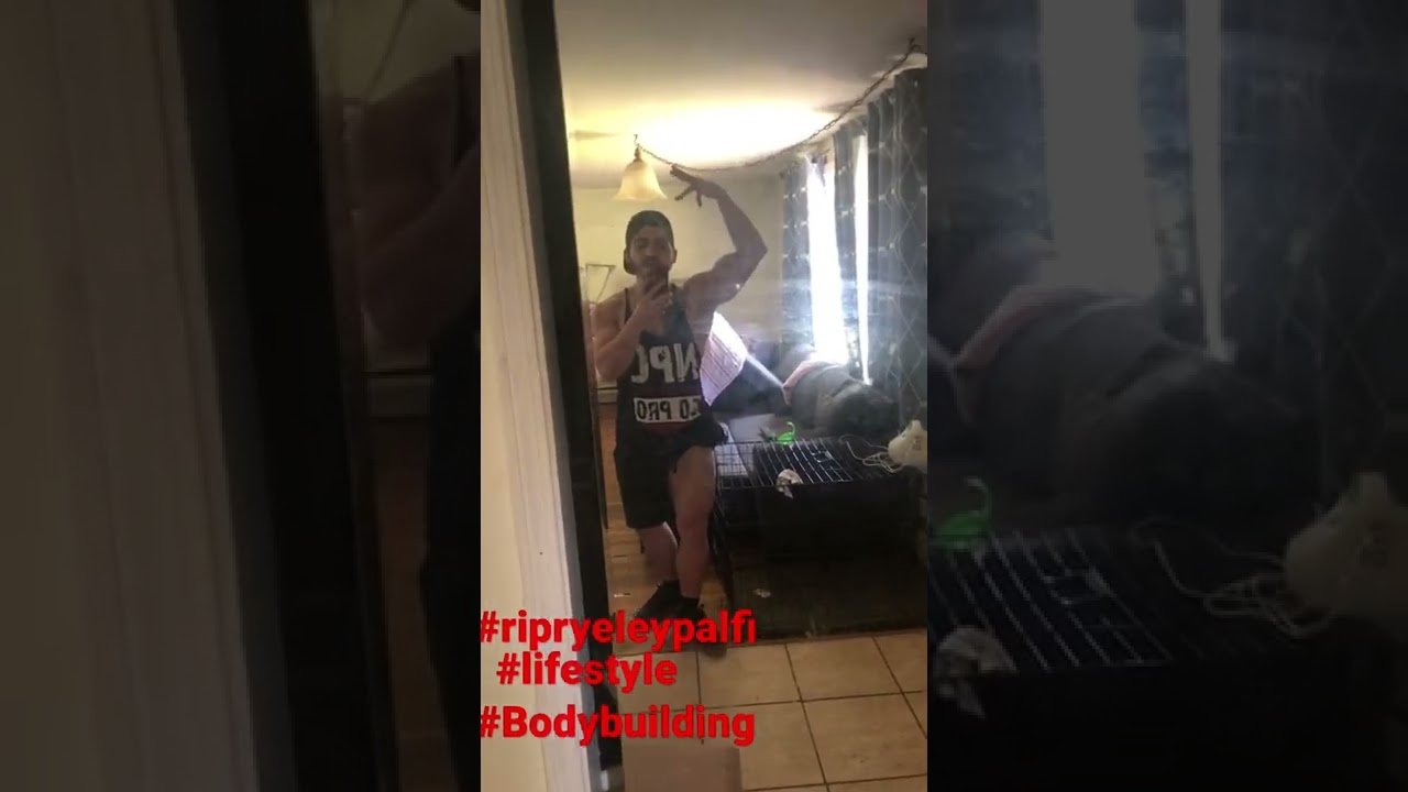 Rip ryeley palfi #bodybuilding #bodybuildingmotivation #fitness #natural