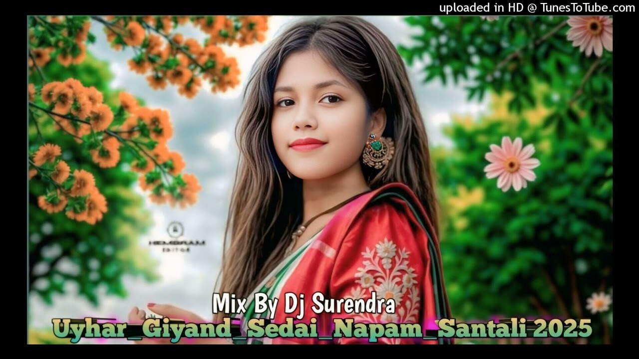 Disay Giyang Alang Napam 🪴 Santali Sohrai Song 2025-26🪴 Mix By Dj Surendra