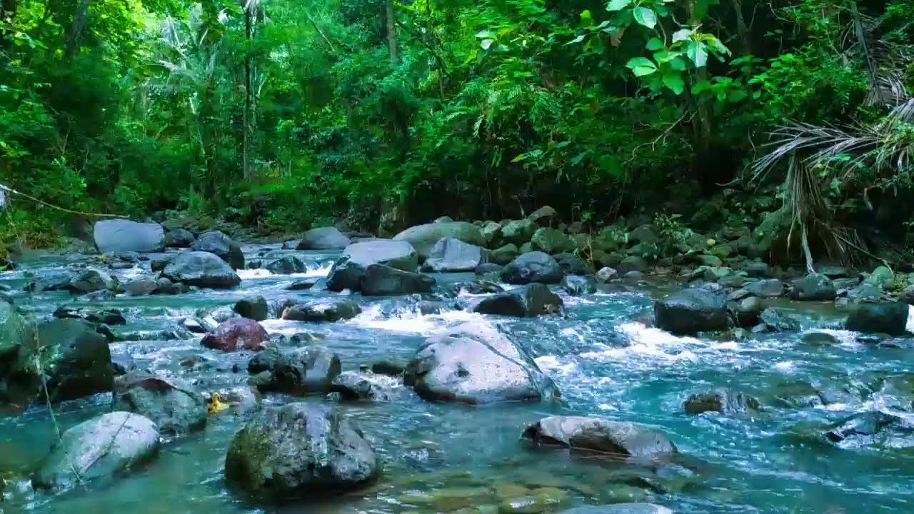 Mountain stream flowing - Forest river stream - Flowing water - white noise for sleeping