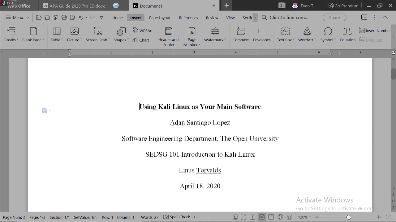 APA Style document guide featuring WPS OFFICE
