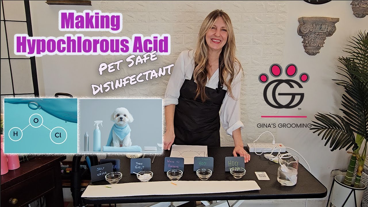 Pet Friendly Disinfectant – and we’re making it together! Step-by-step hypochlorous acid DIY
