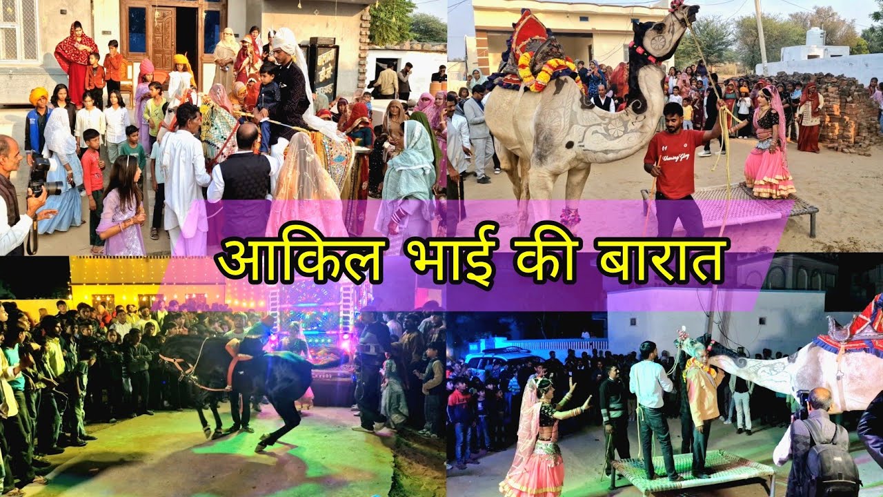 आकिल भाई की बारात में ऊंट और घोड़ी का शानदार डांस 🔥