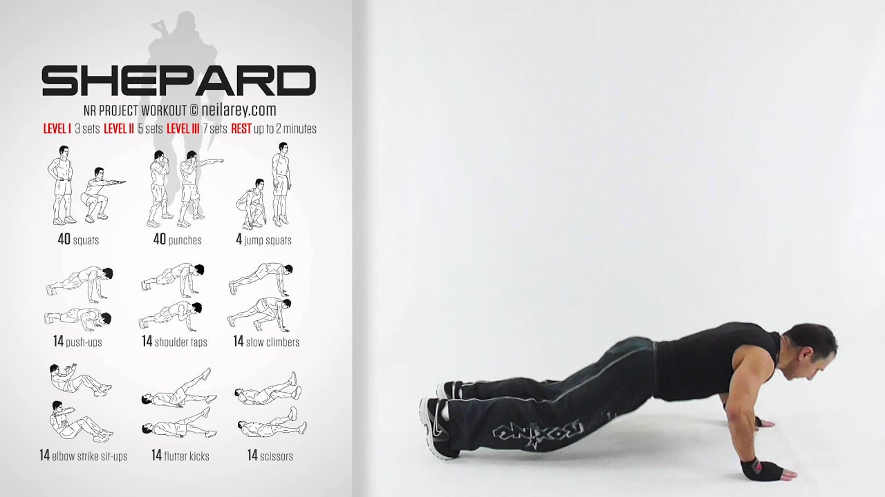 Shepard Workout