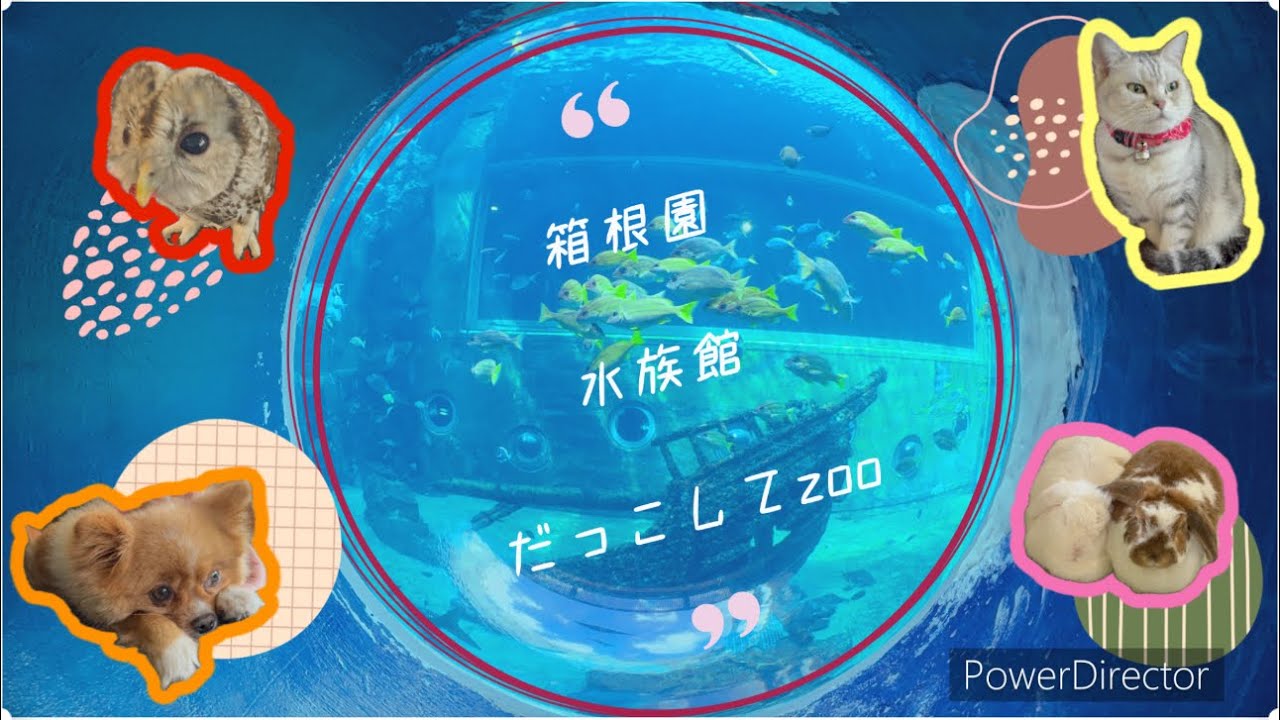 【水族館】箱根園【だっこしてzoo】