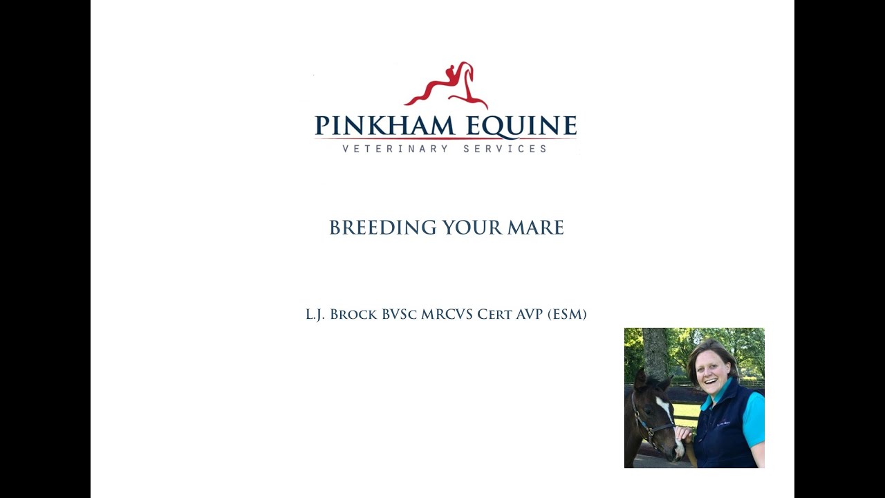 L.J. Brock BVSc MRCVS Cert AVP (ESM)- Breeding your Mare