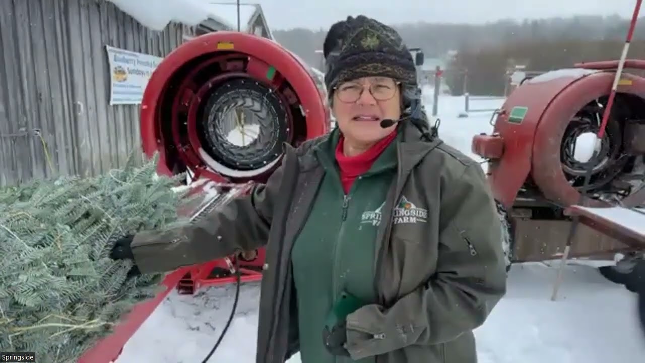 Christmas Tree Farm Virtual Field Trip