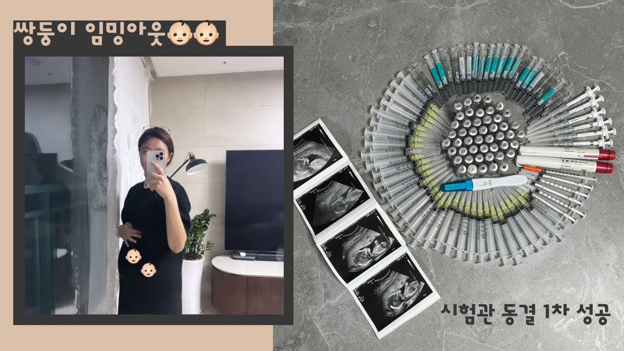 [시험관 브이로그] 동결 1차 성공 | 남편/친정 부모님 임밍아웃 | hcg 수치 | 첫 초음파 | 쌍둥이