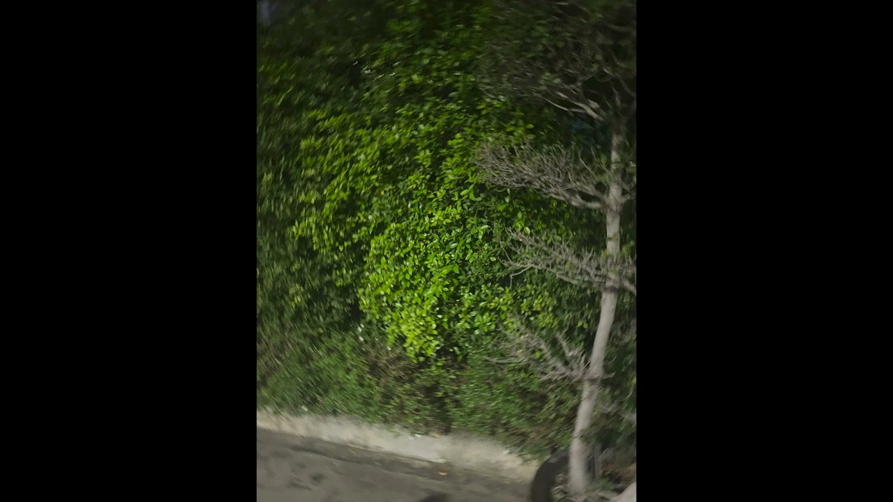 SARAN - คุณจะอยู่ยังไง feat. JONIN | REMIX By KO NG
