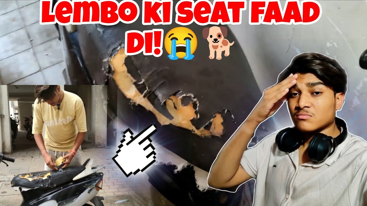 Lambo ke sath Bura Kaand ho gaya! 😱🐕 Street Dogs ne kya kiya? | Day 166   