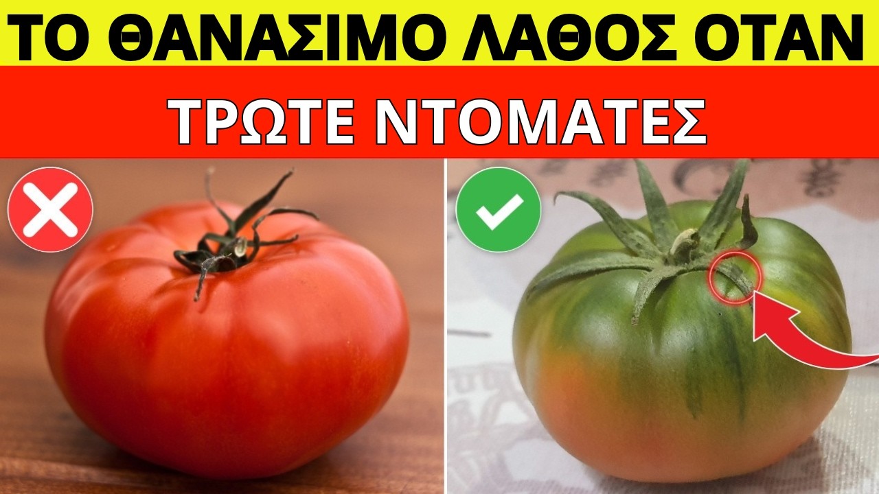 🔴 5 Συχνά Λάθη Όταν Τρως Ντομάτα που Καταστρέφουν την Υγεία σου