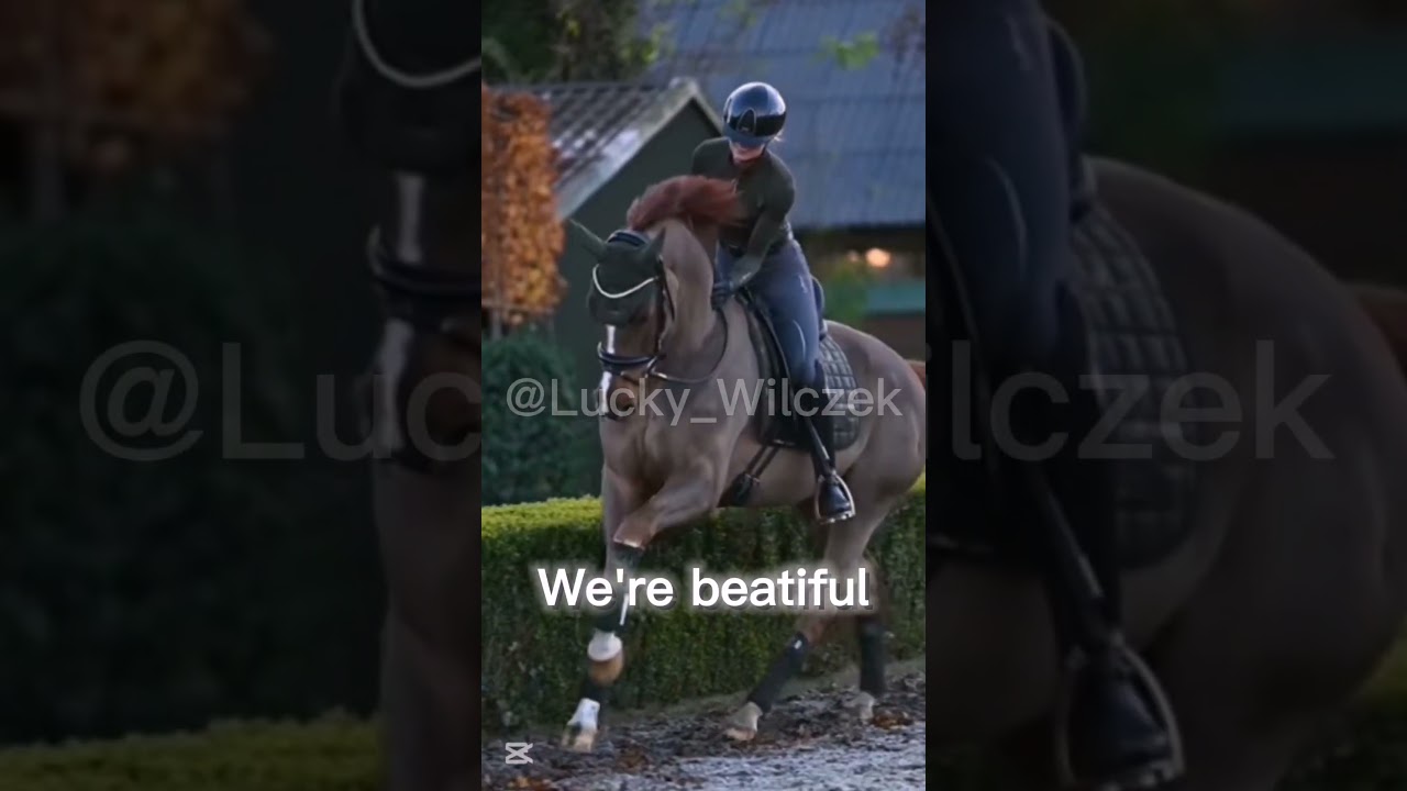 Diamonds #showjumping #horses #horse #konie #edit #diamonds #horseriding #music