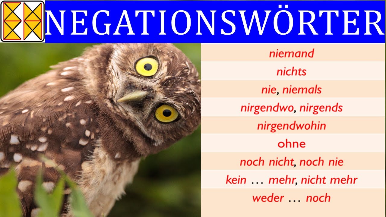 Negationswörter und was sie negieren | Deutsche Grammatik | with subtitles مع الترجمة