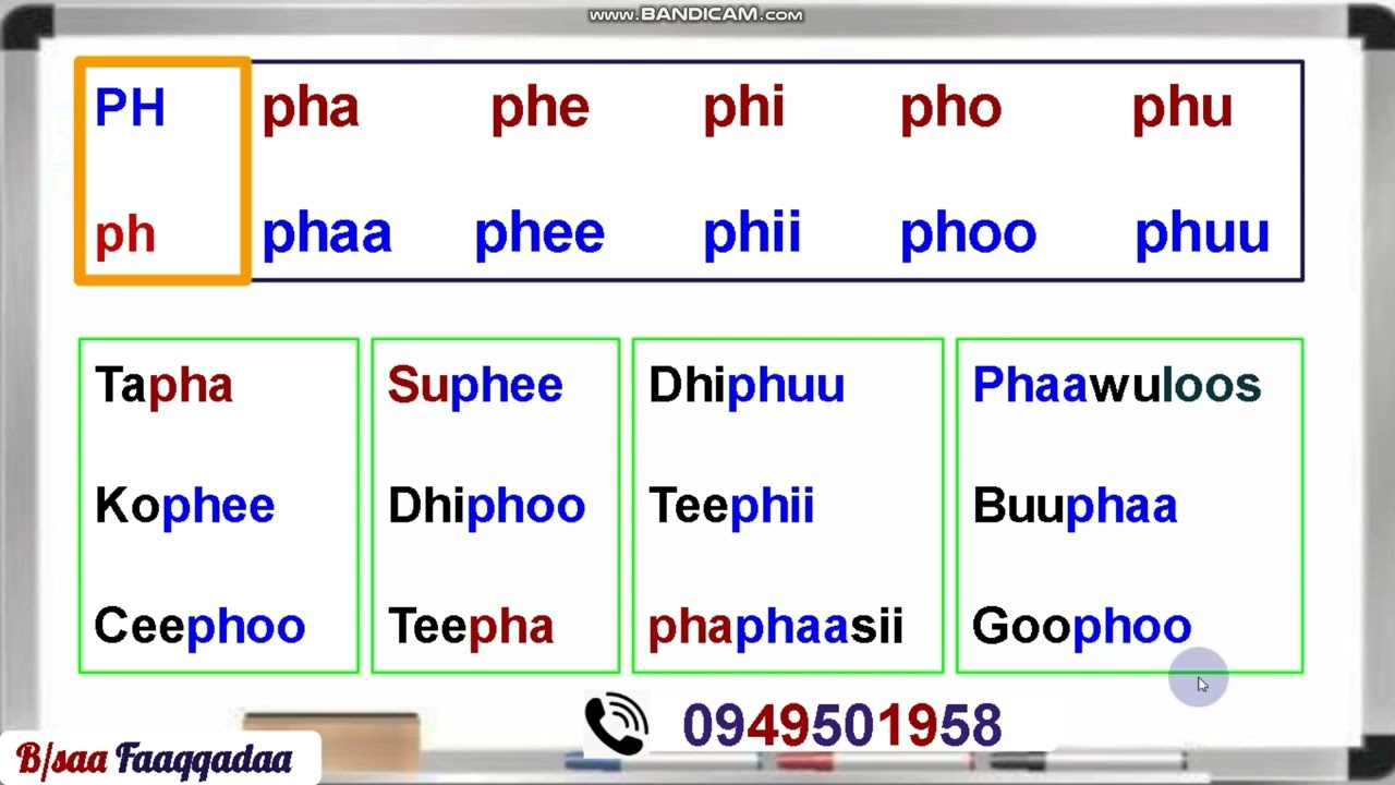 Jechoota Qubee Dachaa Kutaa 2ffaa