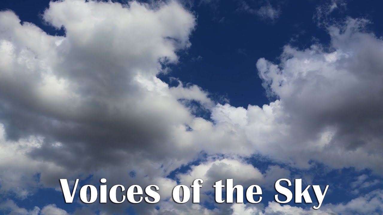 1 часов неба и пения птиц | Fitzpatrick Park NSW Австралия | SleepForm Studio