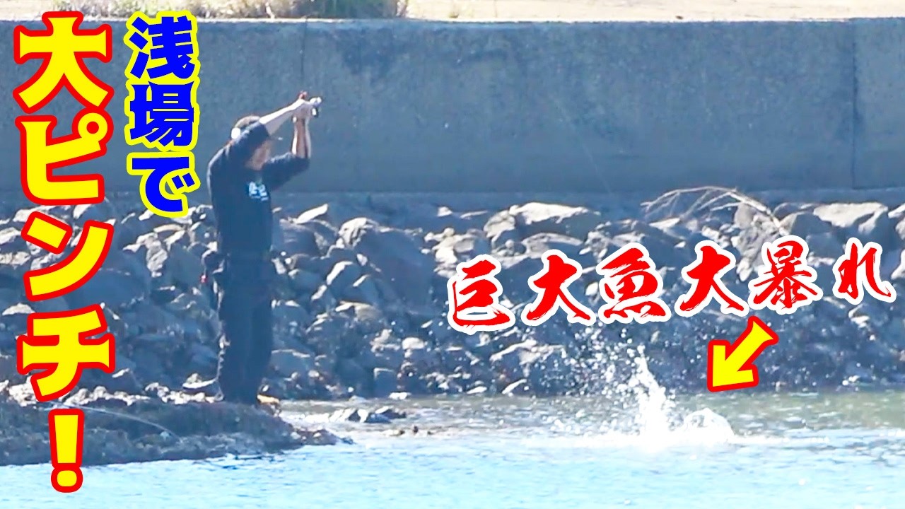 水深50cmで巨大魚が釣れて大ピンチ！！
