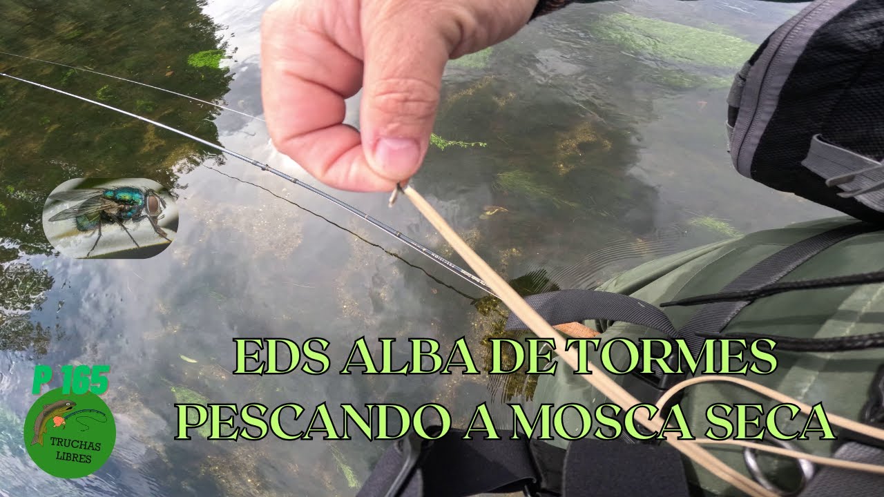 PROYECTO 165 | EDS ALBA DE TORMES 🏞️PESCANDO A MOSCA SECA🪰🪰
