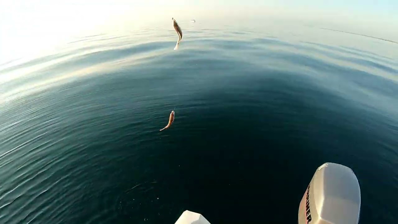 Pêche en dérive au Barcarés, en Roussillon