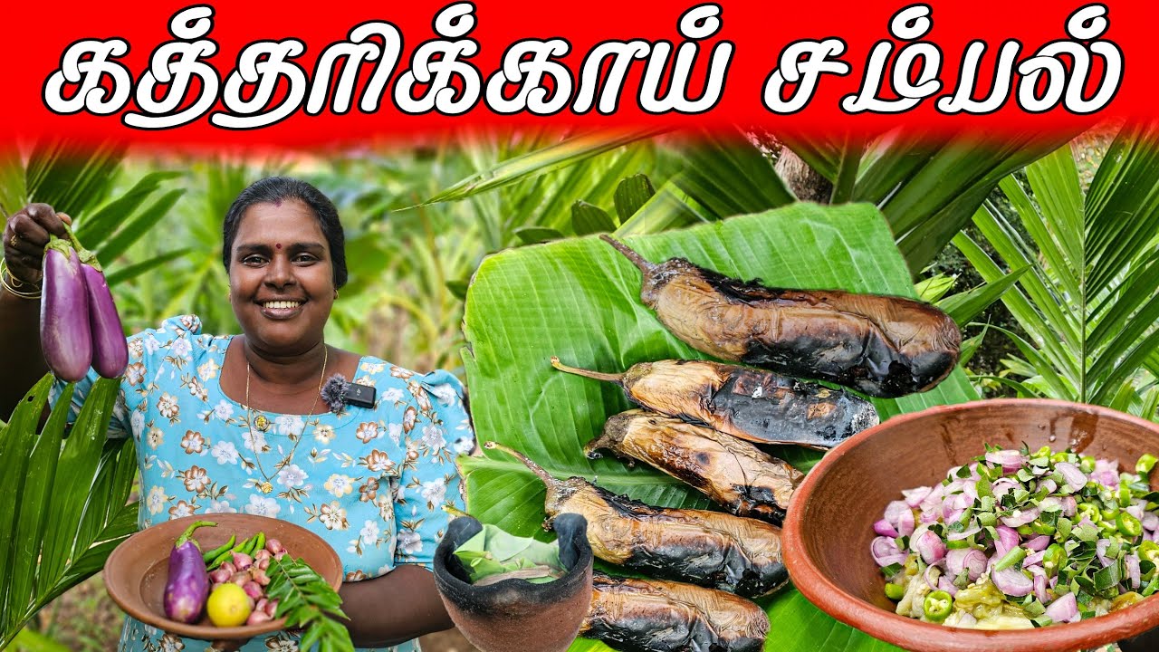 தோட்டத்தில் செய்த கத்தரிக்காய் சம்பல் | village life ♥️ | vanni vlog
